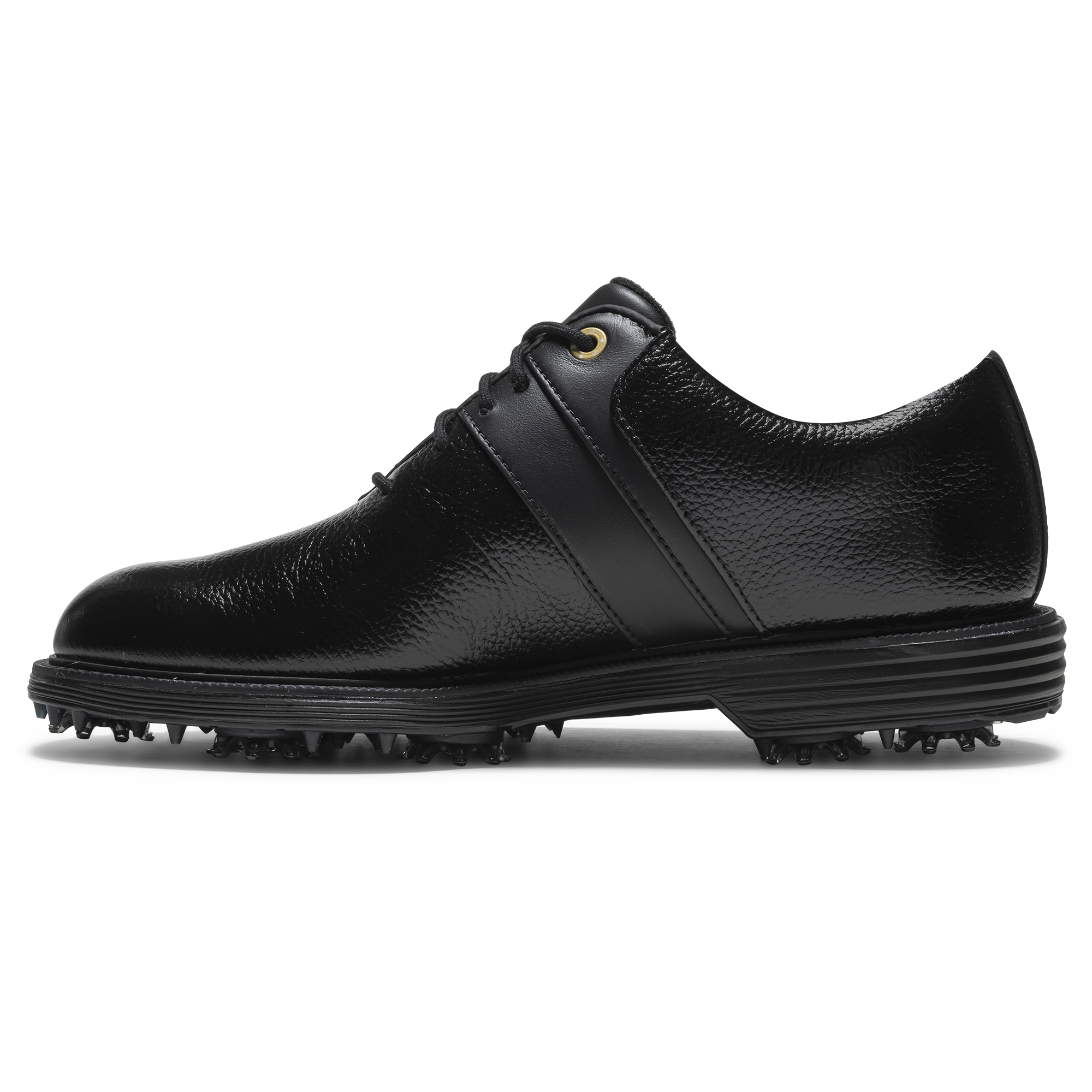 Premiere Series - Packard Dam