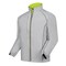 Silver / Lime