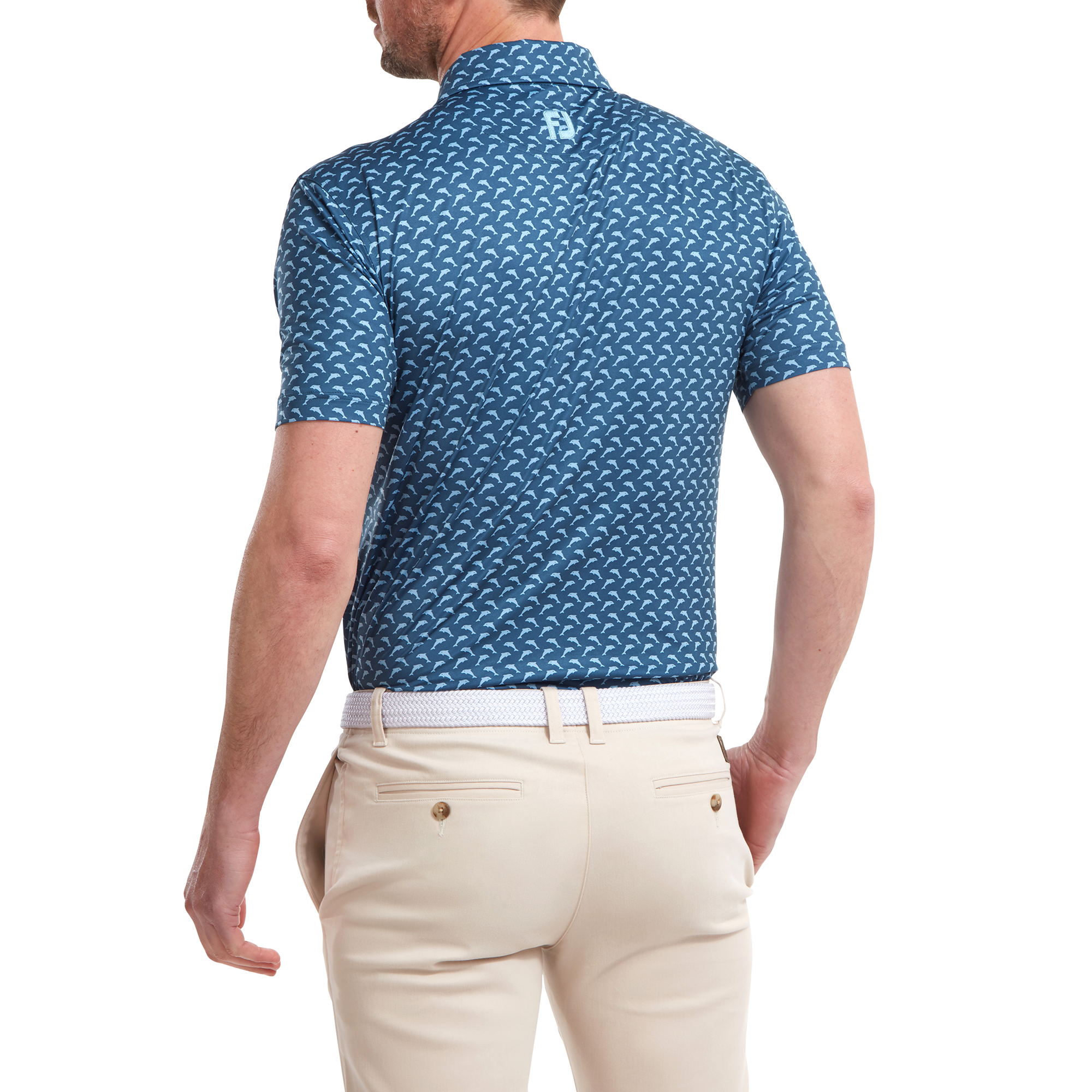 Leaping Dolphins Print Lisle