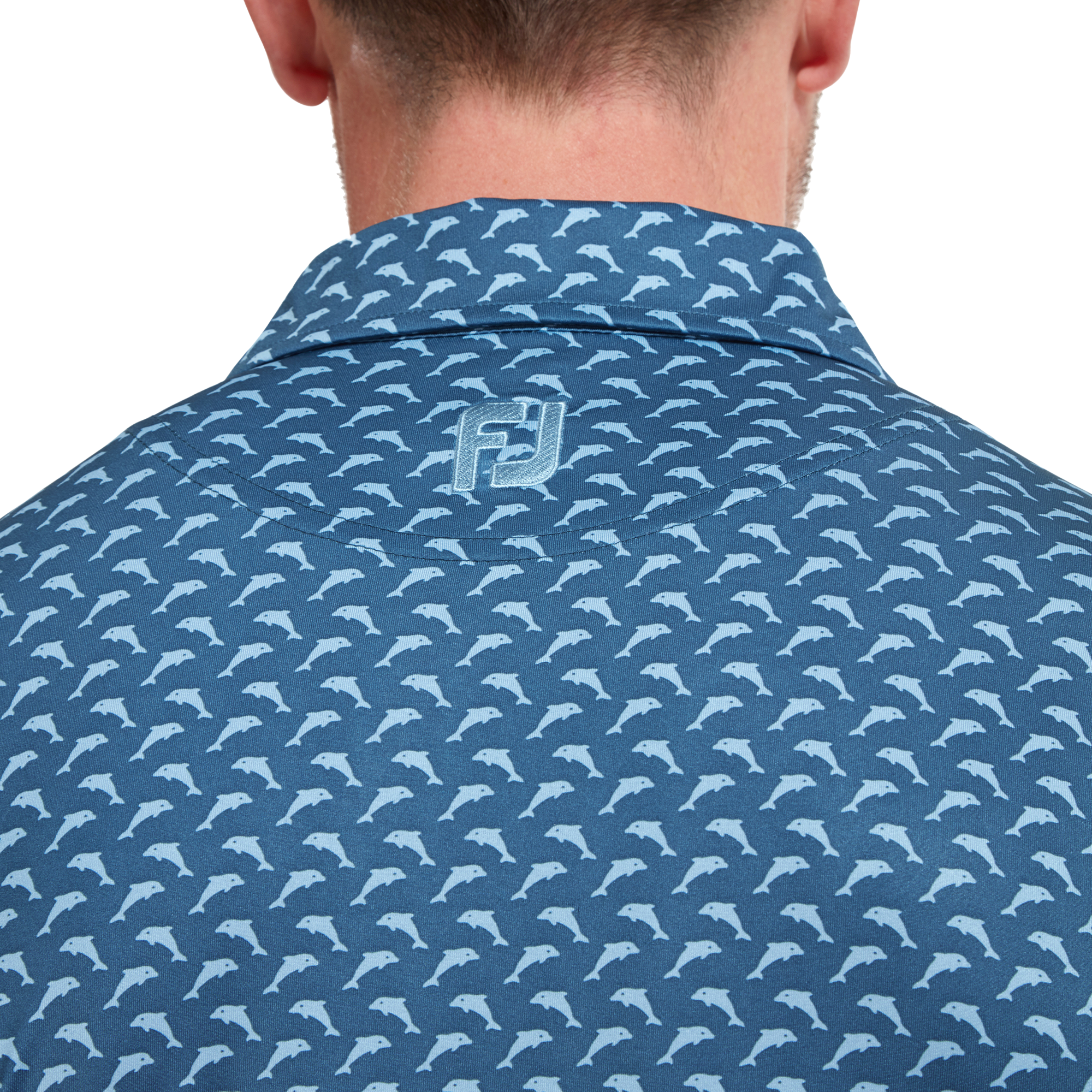 Leaping Dolphins Print Lisle