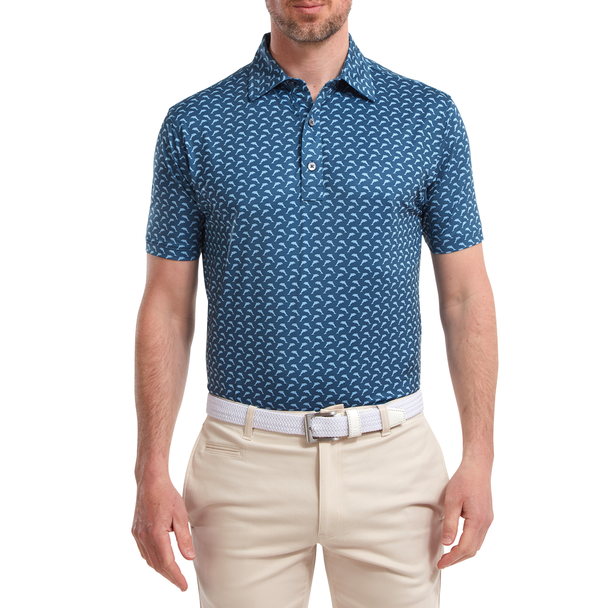 Leaping Dolphins Print Lisle