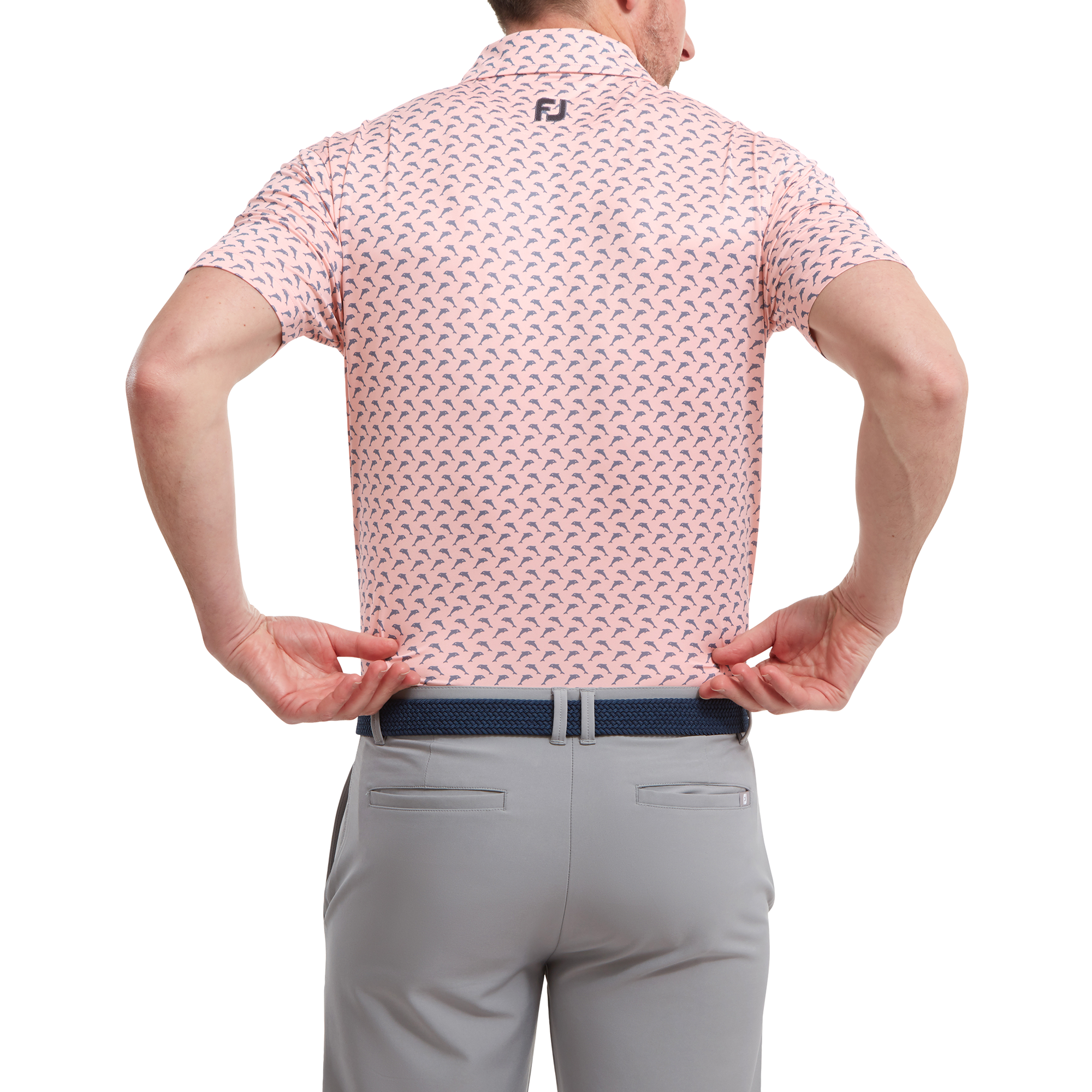 Leaping Dolphins Print Lisle